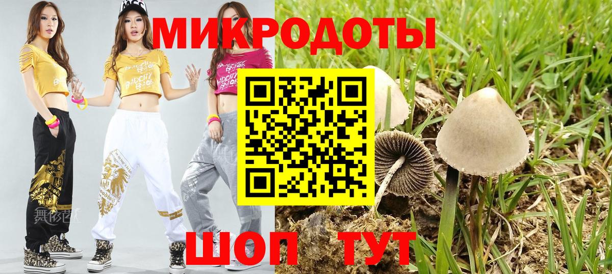 Псилоцибиновые грибы Psilocybine cubensis  Галлюциногенные грибы GOLDEN TEACHER  Белореченск  Вход с VPN 