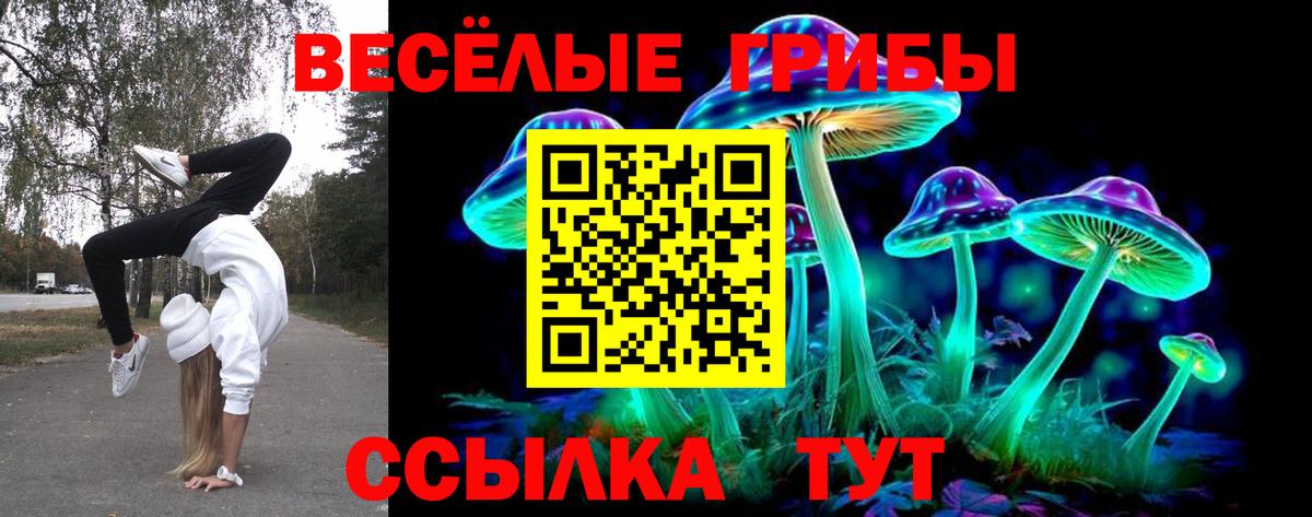 Галлюциногенные грибы Psilocybine cubensis Белореченск